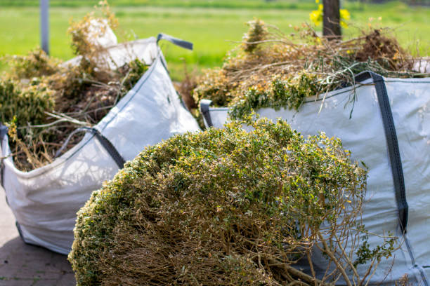Best Junk Hauling Services  in Cleveland Heights, OH